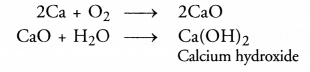 NCERT Solutions for Class 10 Science Chapter 3 Metals and Non-metals 6